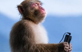 Imagem do grupo de WhatsApp Pessoas pobres com fones ruins