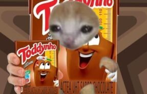 Imagem do grupo de WhatsApp TODDYNHOO