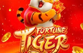 Imagem do grupo de WhatsApp Tigrinho slot  2026