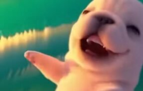 Imagem do grupo de WhatsApp  noções