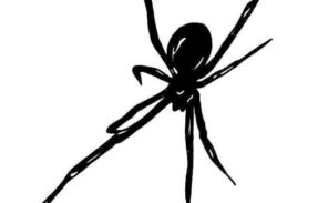 Imagem do grupo de WhatsApp NoT ON – brawl Stars