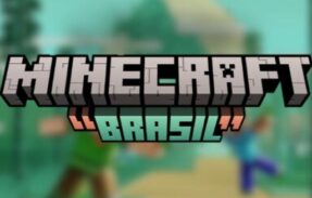 Imagem do grupo de WhatsApp 🇧🇷BR Minecraft 1.21
