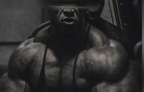 Imagem do grupo de WhatsApp RATOS DE ACADEMIA ‍️