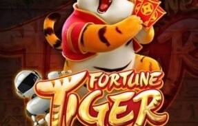 Imagem do grupo de WhatsApp SINAIS TIGER – ESPORTE DA SORTE 