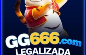 Imagem do grupo de WhatsApp GG666 
