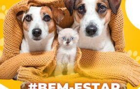 Imagem do grupo de WhatsApp PETS
