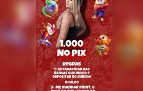 Imagem do grupo de WhatsApp SLOTS DA MI 🩷 1.0