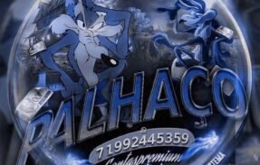 Imagem do grupo de WhatsApp 𝑷𝑨𝑳𝑯𝑨𝑪̧𝑶 𝑽𝑬𝑵𝑫𝑨𝑺 