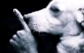 Imagem do grupo de WhatsApp Filmes e series 