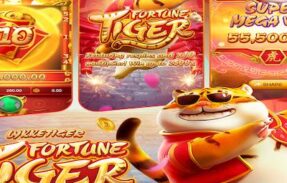 Imagem do grupo de WhatsApp Rei das plataformas