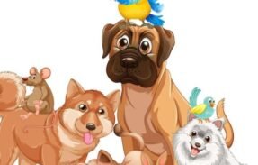 Imagem do grupo de WhatsApp Saúde dos pets