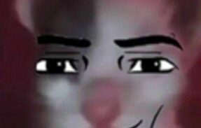 Imagem do grupo de WhatsApp  Conselho dos descompromissados 🫦