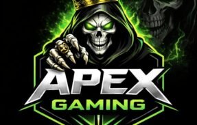 Imagem do grupo de WhatsApp RECRUTAMENTO – APEX  GAMING 
