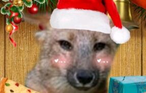 Imagem do grupo de WhatsApp Speed’s