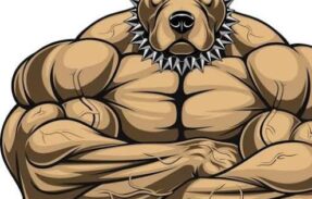 Imagem do grupo de WhatsApp ACADEMIA ONLINE PITBULL 