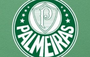 Imagem do grupo de WhatsApp Nação Palmeirense