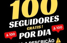 Imagem do grupo de WhatsApp +DE 100 SEGUIDORES GRÁTIS POR DIA
