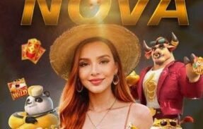 Imagem do grupo de WhatsApp  Plataformas Nova  