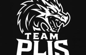 Imagem do grupo de WhatsApp Organização de games jogos competitivo 🇧🇷