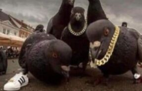 Imagem do grupo de WhatsApp 𝐂𝐇𝐀𝐓 𝐃𝐀 𝐑𝐄𝐒𝐄𝐍𝐇𝐀