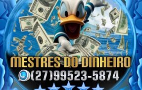 Imagem do grupo de WhatsApp MESTRES DO DINHEIRO 