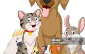 Imagem do grupo de WhatsApp Grupo de pets cuide da alimentação do seu pet comprando um ebook de apenas 19,90