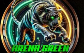 Imagem do grupo de WhatsApp ARENA GREEN PALPITES VIP 