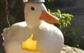 Imagem do grupo de WhatsApp RESENHA INFINITY