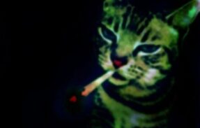 Imagem do grupo de WhatsApp N∅VA EЯA(Sem Lei)