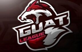 Imagem do grupo de WhatsApp 𝙂𝙤𝙖𝙩 𝙇𝙚𝙖𝙜𝙪𝙚 – 𝙀𝙁𝙊𝙊𝙏𝘽𝘼𝙇𝙇