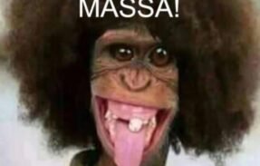 Imagem do grupo de WhatsApp Todos na moita