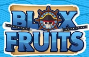Imagem do grupo de WhatsApp ️Blox Fruits BR ️