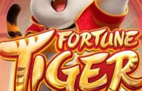 Imagem do grupo de WhatsApp MÉTODOS DO TIGER