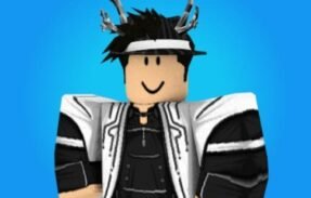 Imagem do grupo de WhatsApp ROUPINHAS ROBLOX