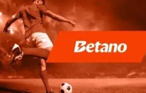 Imagem do grupo de WhatsApp APOSTAS ESPORTIVAS