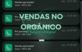 Orgânico de sucesso 