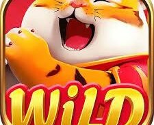 Imagem do grupo de WhatsApp ESTRATÉGIAS E HORÁRIOS DO TIGRINHO E CASAS PAGANTES