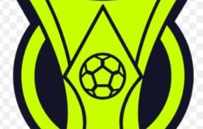 Imagem do grupo de WhatsApp Brasileirão misturado ️
