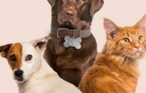 Imagem do grupo de WhatsApp GOOD PETS