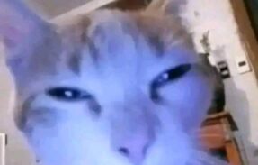 Imagem do grupo de WhatsApp Chat – Nightmare