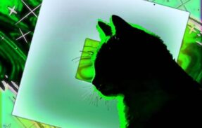 Imagem do grupo de WhatsApp ⁣ 𝐒𝐔𝐏𝐑𝐄𝐌𝐄 𓆩𓆪 𝐁𝐋𝐎𝐗 