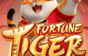 Imagem do grupo de WhatsApp Casa dos Jogadores 