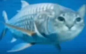 Imagem do grupo de WhatsApp Tukunaré