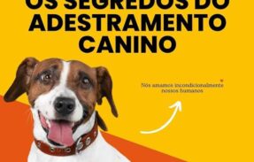 Imagem do grupo de WhatsApp Passo a passo de adestramento 