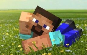 Imagem do grupo de WhatsApp MINECRAFT