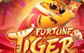 Imagem do grupo de WhatsApp Plataformas com Bonus de cadastro…