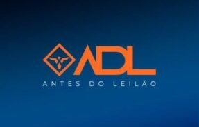 Imagem do grupo de WhatsApp Método ADL Comprando Antes do Leilão 