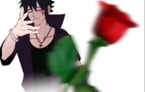 Imagem do grupo de WhatsApp 𝐀𝐜𝐞𝐫𝐯𝐨 𝐝𝐨 𝐂𝐚𝐨𝐬 (𝑺𝒕𝒊𝒄𝒌𝒆𝒓𝒗𝒆𝒓𝒔𝒐)ت︎