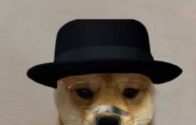 Imagem do grupo de WhatsApp Grupo 2