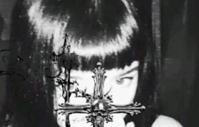 Imagem do grupo de WhatsApp ⸸「𝙕𝙊𝙀𝙄𝙍𝘼 𝙏𝙊𝙏𝘼𝙇」⸸